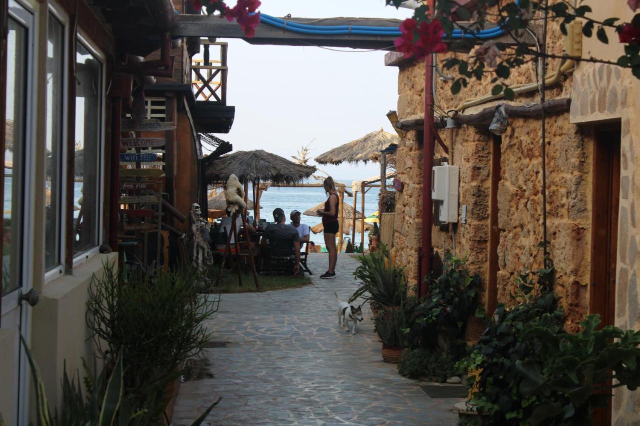Dolphin Studios Malia Exterior foto